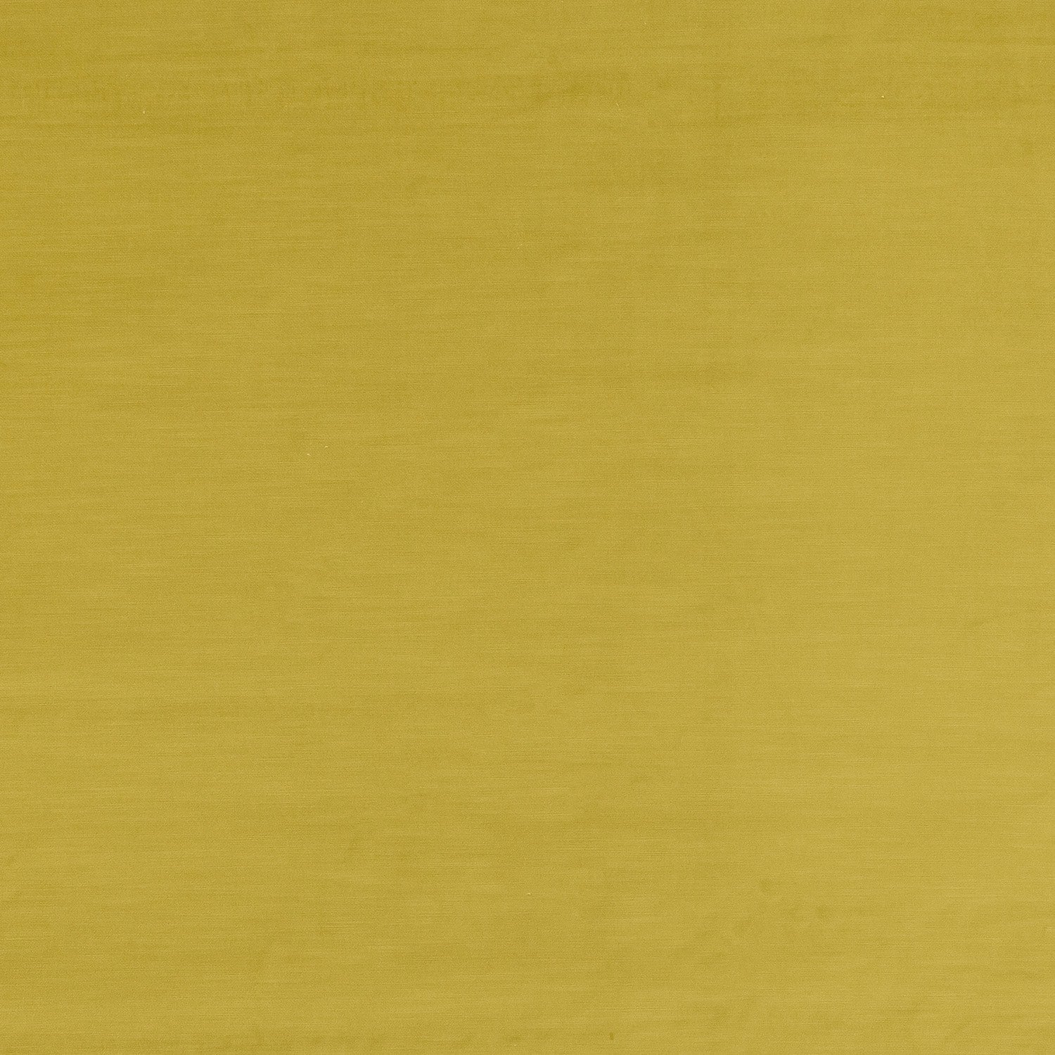 Flat swatch of Portafino No.8 Dandelion recycled velvet upholstery fabric in a rich yellow tone